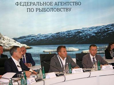 Рыбный порт потратил на модернизацию причалов 219 млн рублей