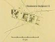 chaetoceros decipiens cl.
