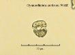 gymnodinium arctcum wulff