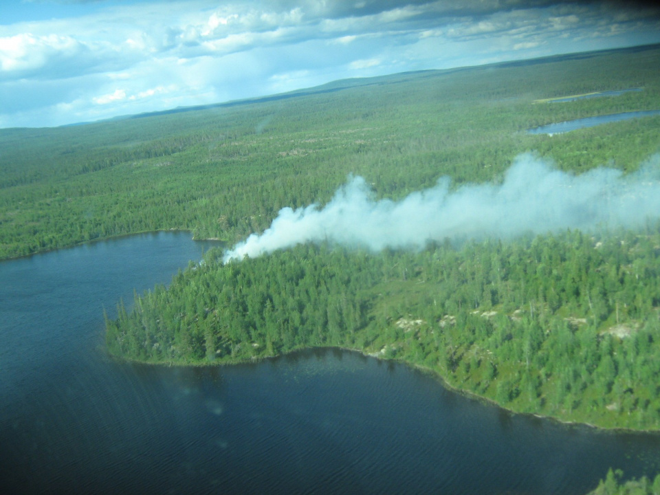 В Мурманской области ликвидировали три лесных пожара