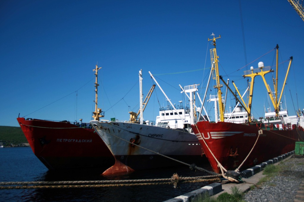 Перевалка рыбы в Мурманском морском рыбном порту выросла за счёт экспорта