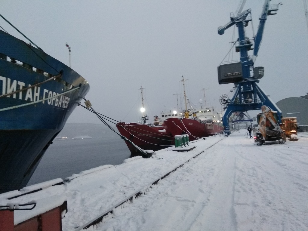 Приход судов в порт. Рыбный порт Мурманск. Выгрузка рыбы в порту Мурманск. Мурманский порт разгрузка. Выгрузка рыбы.