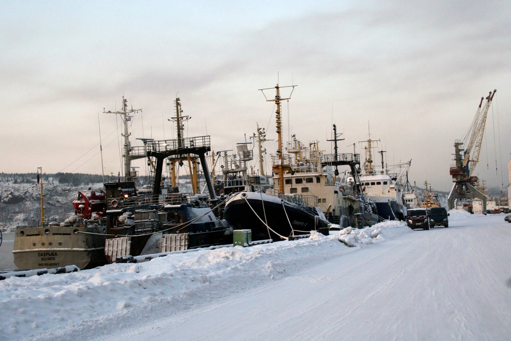 Цены на разгрузку рыбацких судов в Мурманске выросли в разы