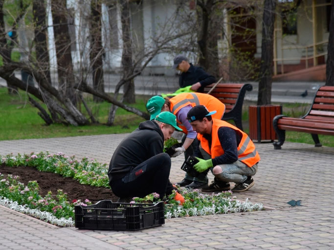 Улицы Мурманска украсят более 300 тысяч цветов