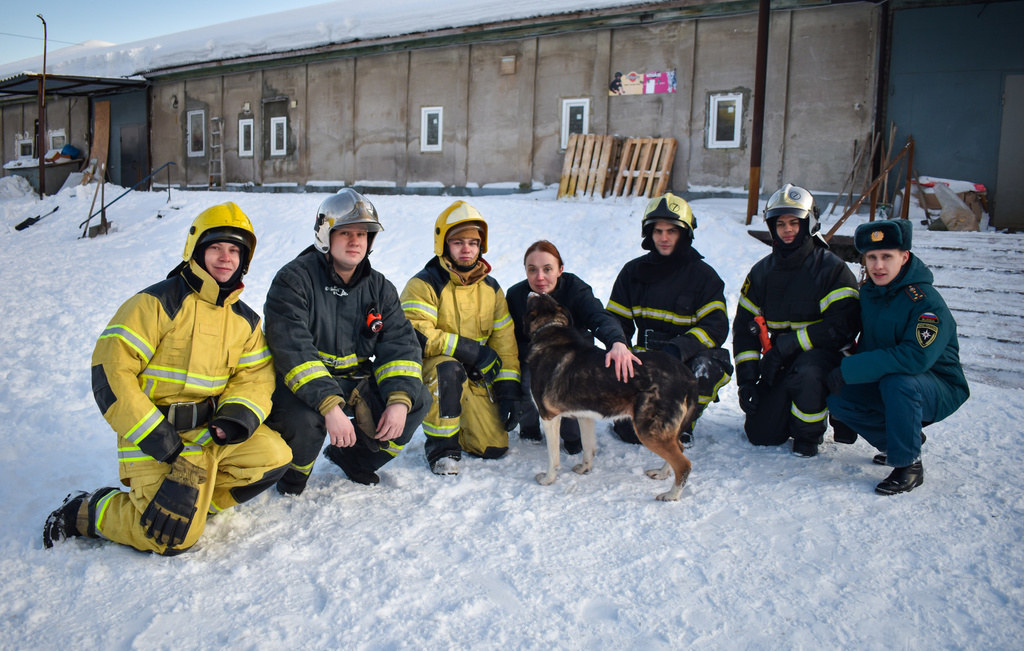 Пожарные навестили бездомных животных в Мурманске