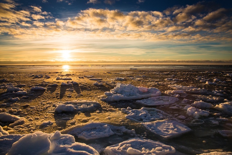 Стартовал прием заявок на получение статуса резидента Арктической зоны