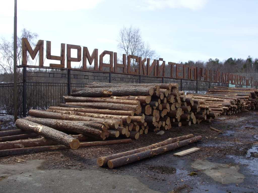 Операция «Лесовоз» в Мурманской области стартует 1 марта