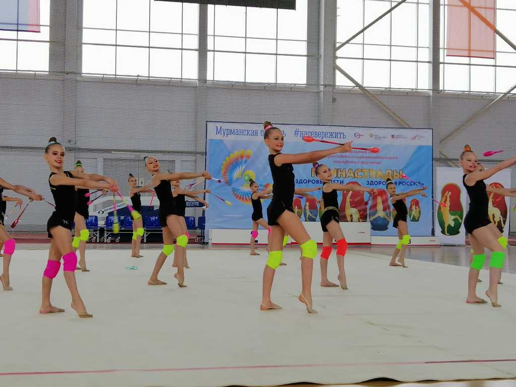 Гаджиевские спортсменки вышли в финал всероссийской гимнастрады