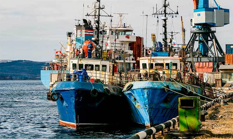 Госдума поддержала во втором чтении законопроект о прибрежном рыболовстве
