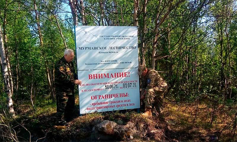 В выходные дни в лесах Мурманской области усилят патрулирование