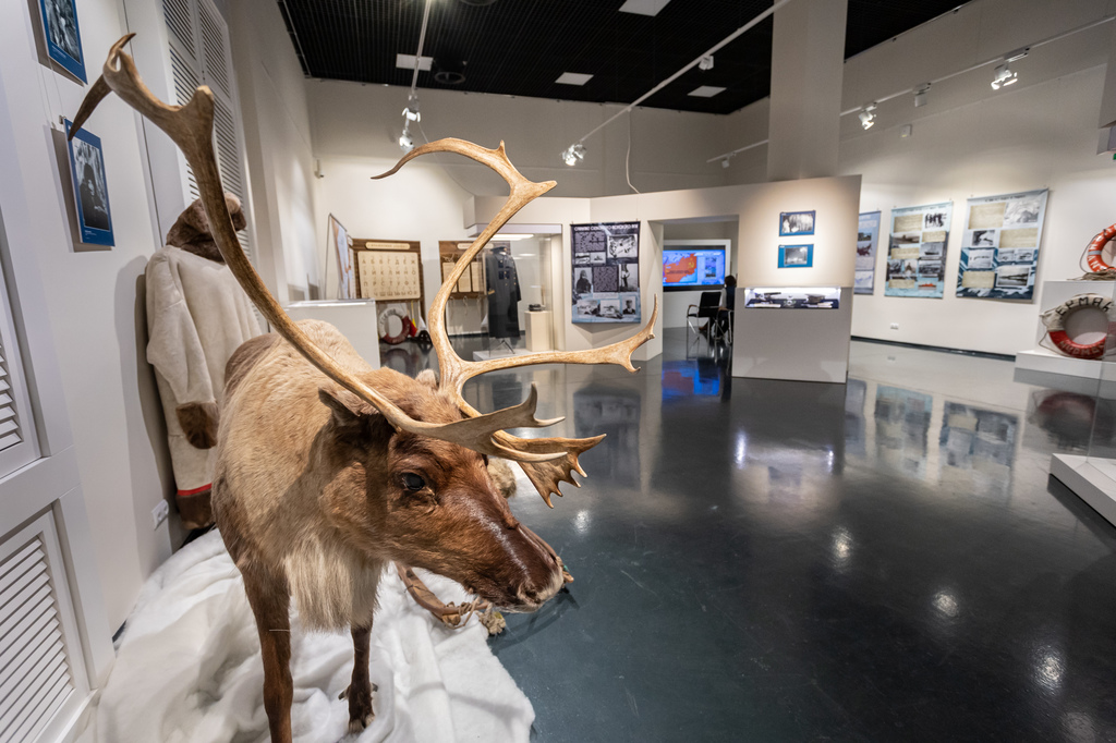 Ассоциацию музеев Арктики представили на заседании тематической секции Союза музеев России