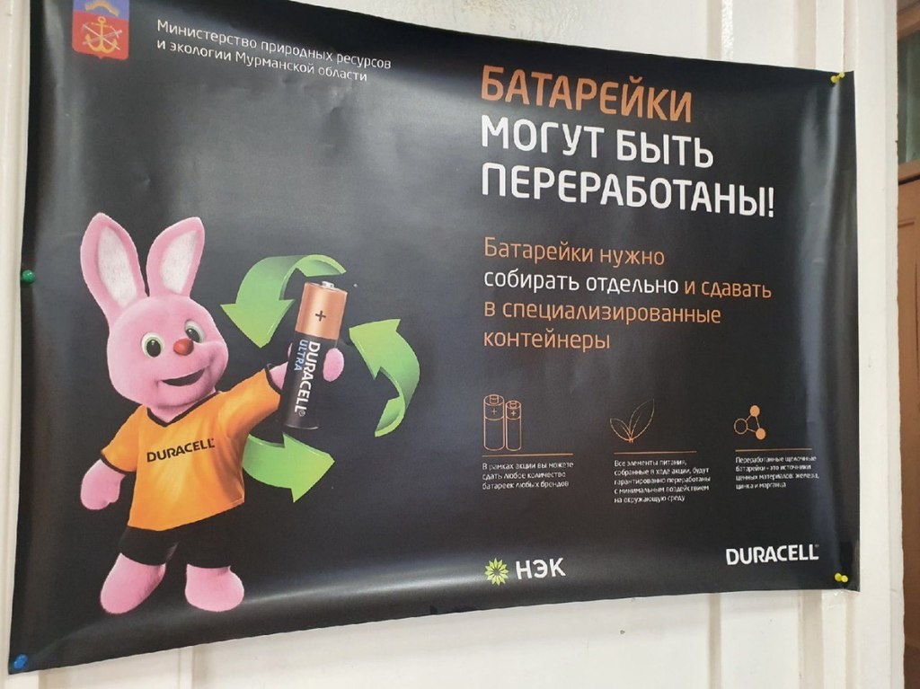 В учебных заведениях Мурманской области проходит акция «Сдай батарейки с Duracell»