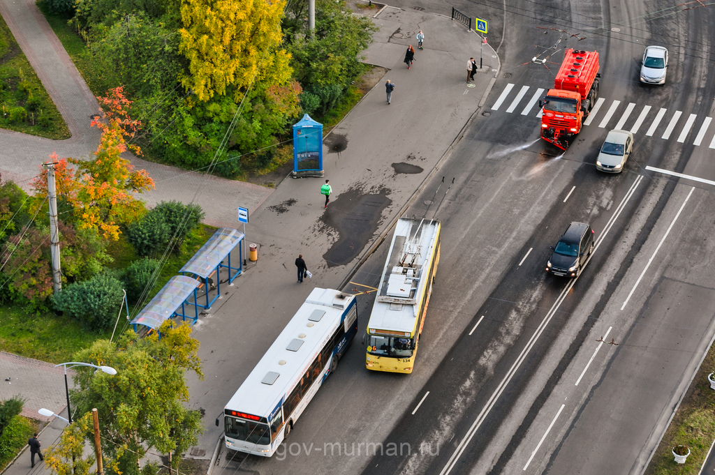 В Мурманске устанавливается личность водителя, сбившего девушку на пешеходном переходе