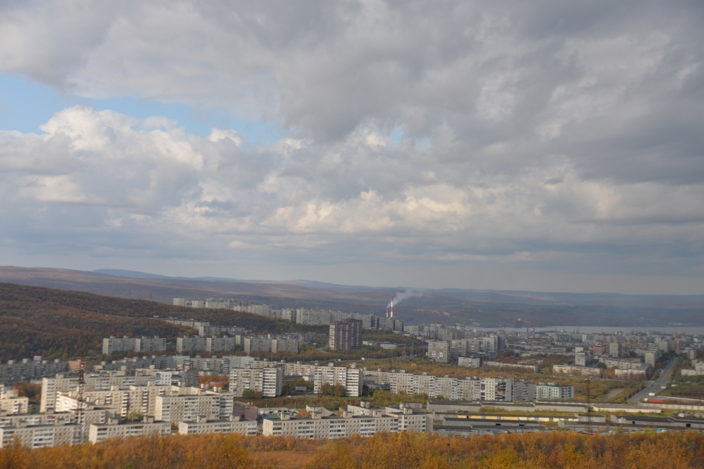 АНО «Приют животных без владельцев «Созвездие друзей» ищет помещение