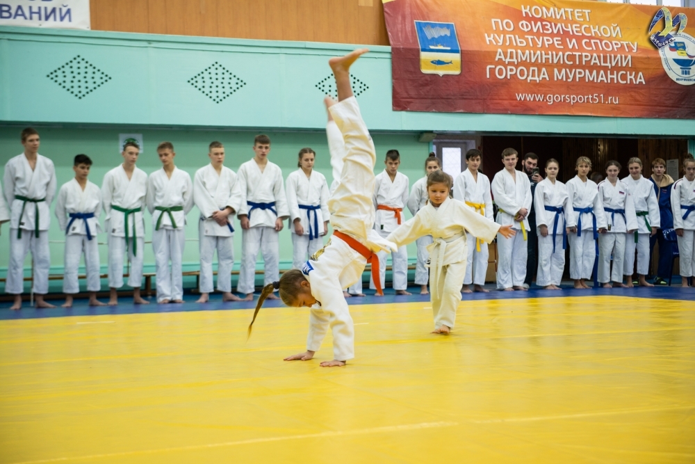 Более 120 спортсменов принимают участие в турнире по дзюдо памяти Ивана Алексеевича Бородулина