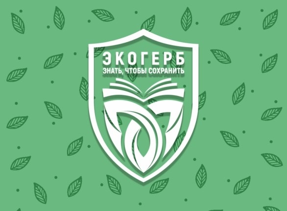Мурманчан приглашают принять участие во Всероссийском экологическом конкурсе