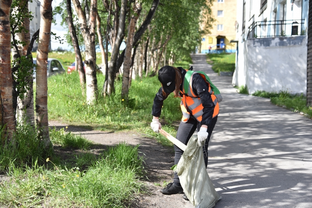 В Мурманской области продолжается проект «Работа рядом»