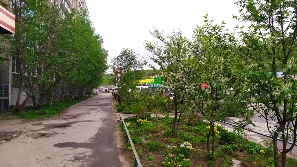 Прогноз погоды в Мурманске на 29 мая