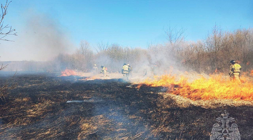 В Мурманской области ликвидировано 7 природных пожаров