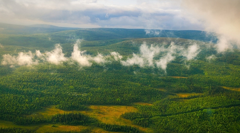 На территории Мурманской области продлевается ограничение пребывания граждан в лесах и въезда в них транспортных средств