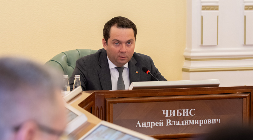 Губернатор Андрей Чибис: «Процесс получения социальных услуг должен быть комфортным для пользователей»