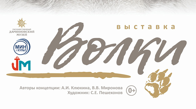 Областной краеведческий музей приглашает на выставку «Волки», организованную совместно с Государственным Дарвиновским музеем