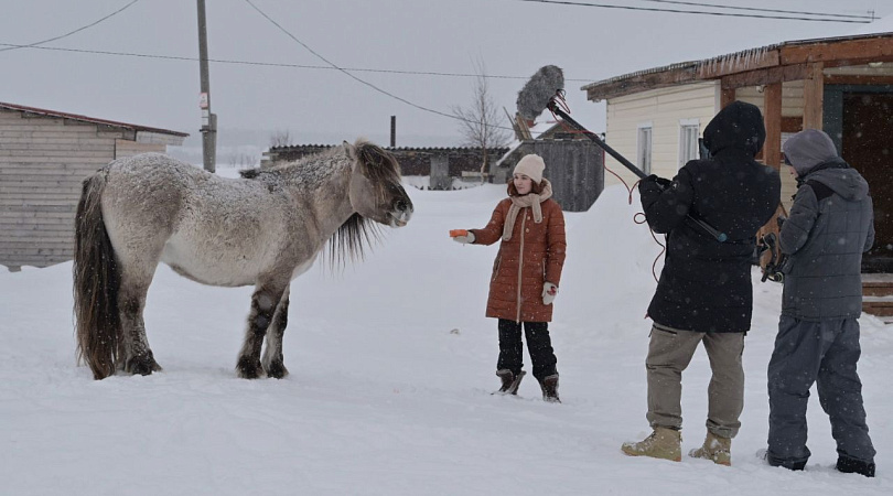 В Мурманской области стартовали съёмки короткометражного фильма «Лошадка в сугробе»