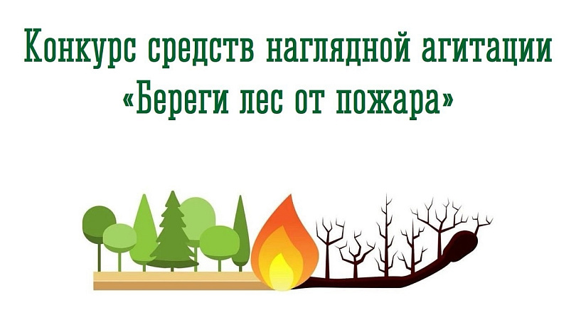 В Мурманской области стартует конкурс наглядной агитации «Береги лес от пожара»