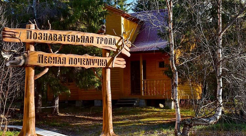 Предприниматели из Мурманской области могут получить субсидии из бюджета региона на развитие культурно-познавательного туризма