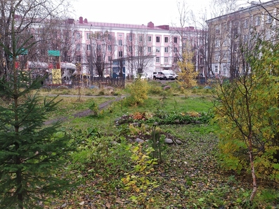 Прогноз погоды в Мурманске на 25 октября