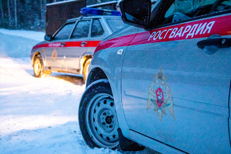 Сотрудники Росгвардии задержали мужчину за хищение алкогольной продукции в мурманском гипермаркете